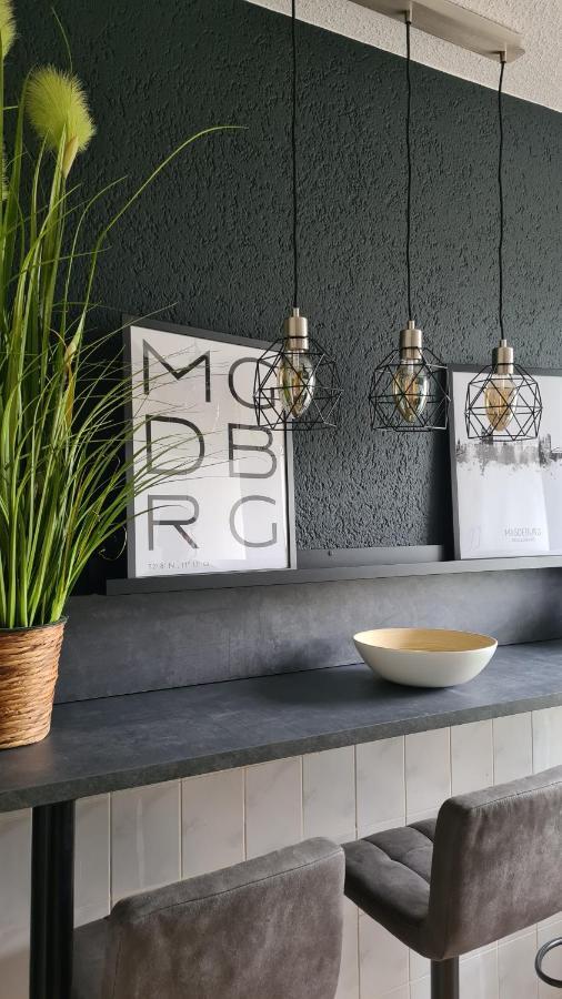 Ferienwohnung, Monteurwohnung, Unterkunft Elise Magdeburk Exteriér fotografie